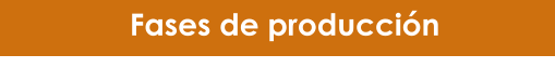 Fases de producción