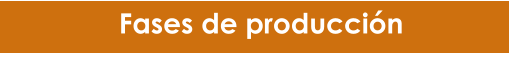 Fases de producción